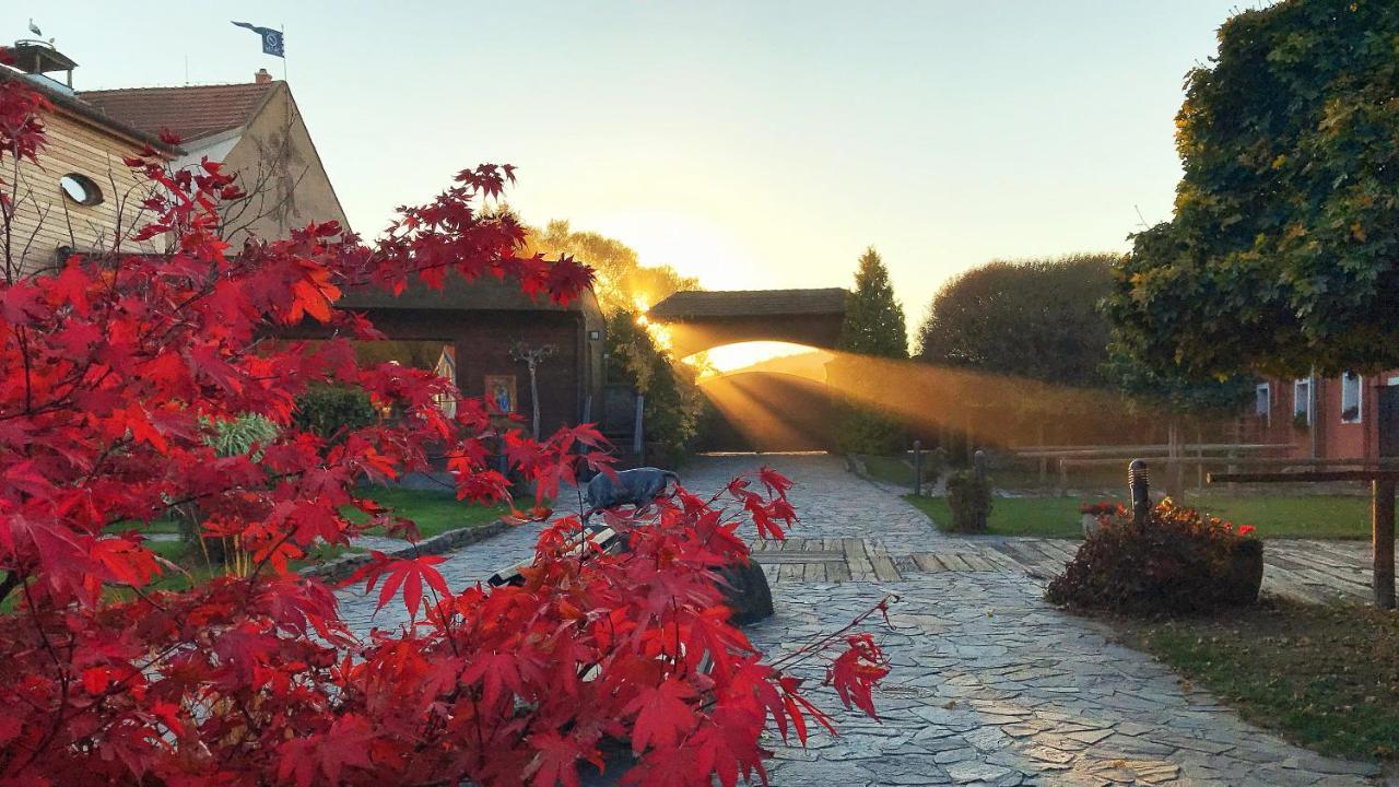 Farma Michael na tvrzi Nedvězí Hotel Netvořice Exterior foto